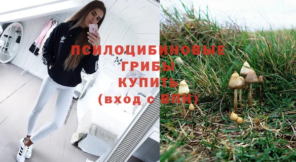 мяу мяу мука Алексеевка