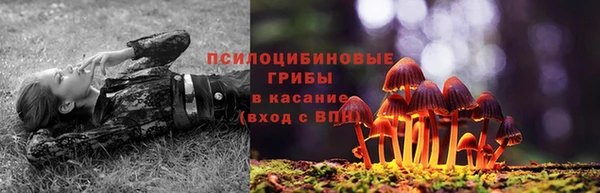 мяу мяу мука Алексеевка
